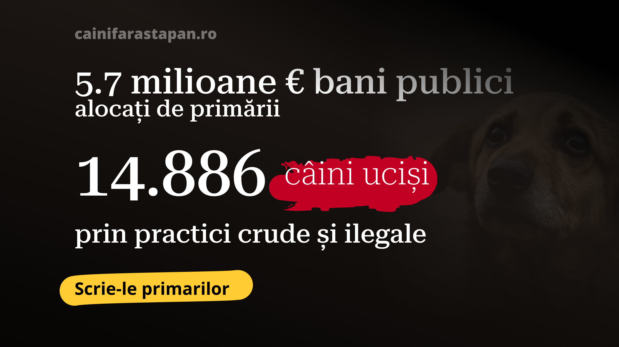 Trimite un mesaj primarilor: solicită asumare și măsuri urgente pentru abuzurile de la Vetmedan