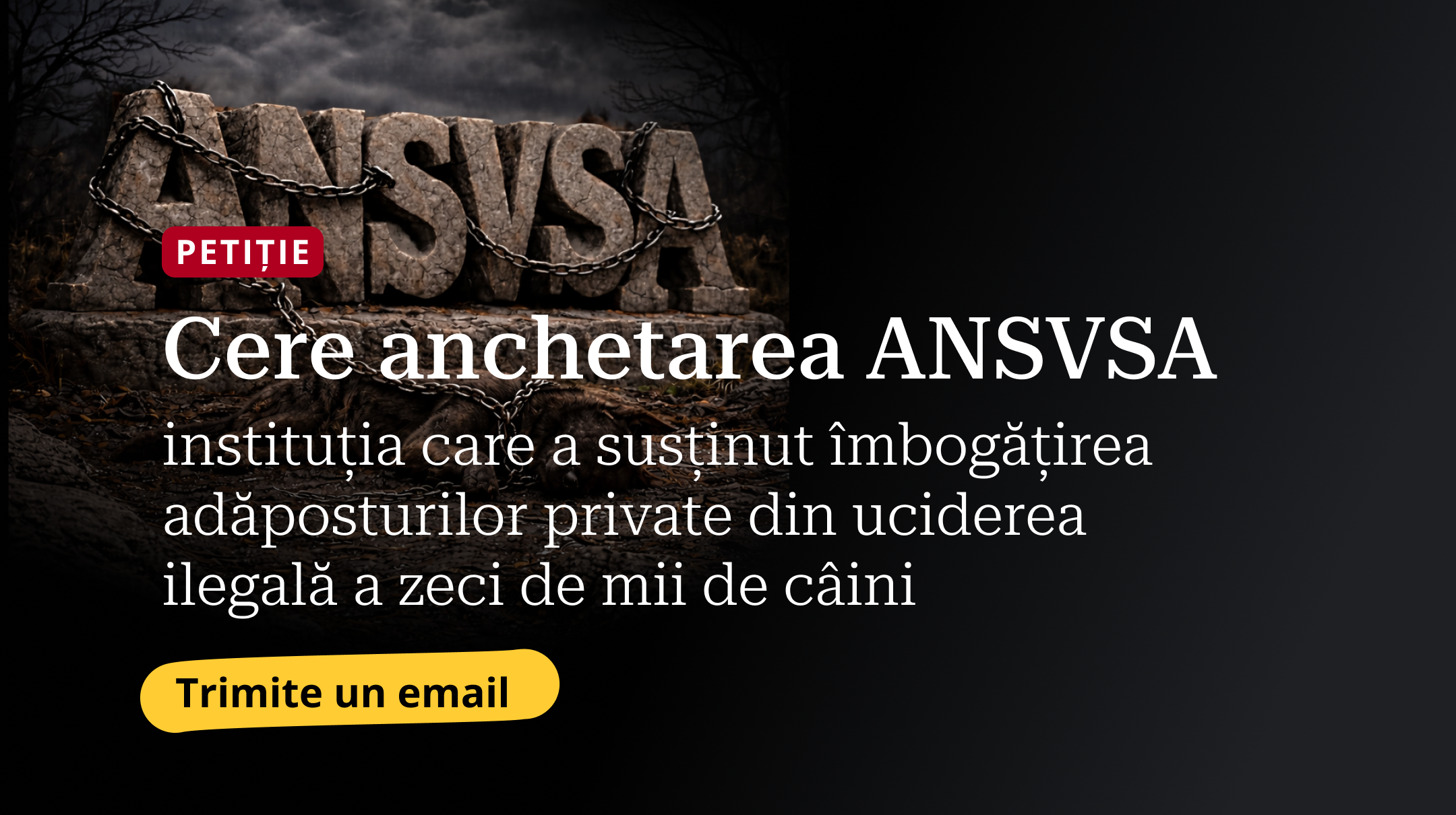 Cere și tu verificarea ANSVSA: instituția care a încurajat un sistem prin care adăposturile private s-au îmbogățit din uciderea ilegală a zeci de mii de câini