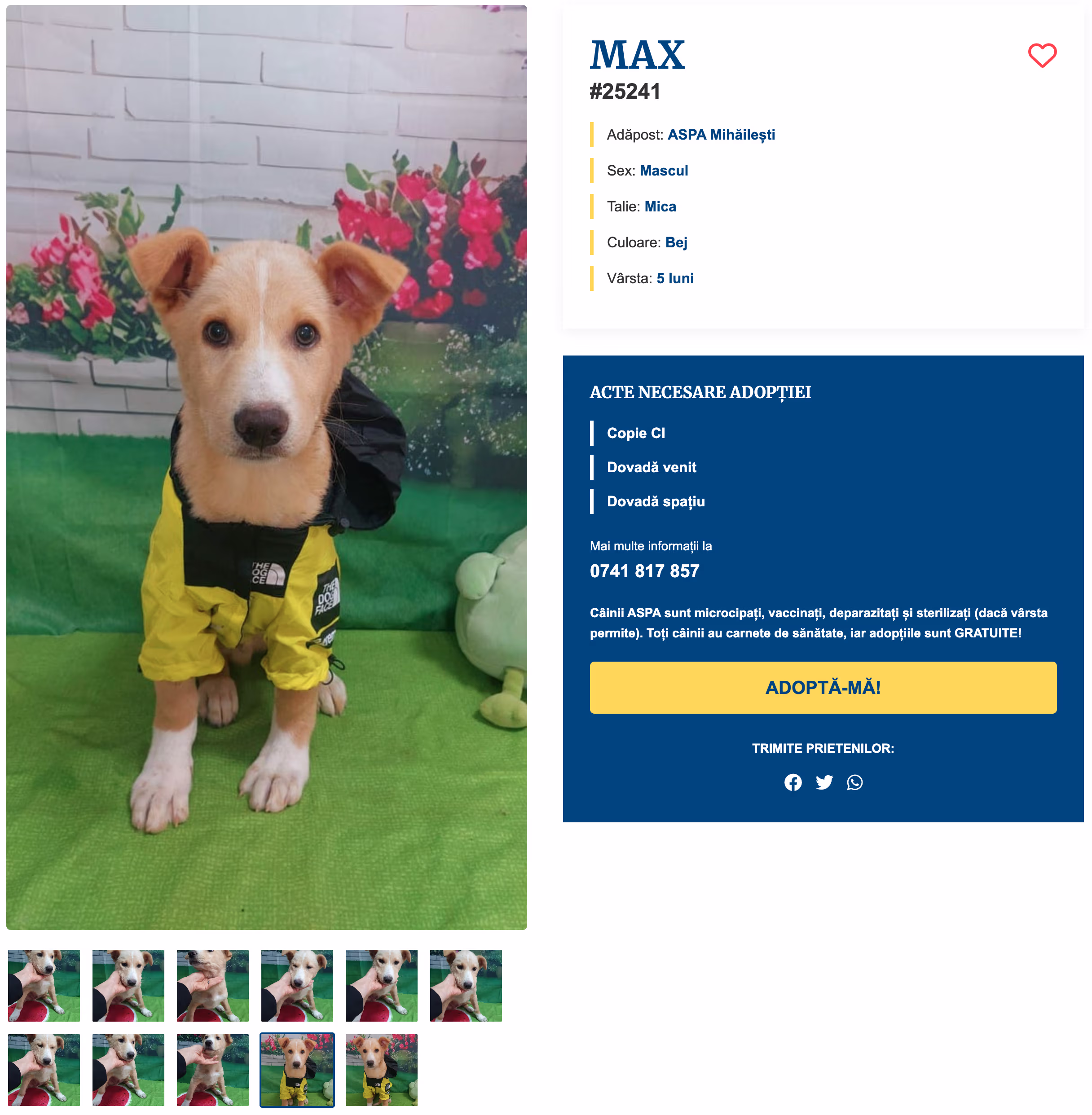 Pagină individuală de promovare a unui câine pe site-ul ASPA București