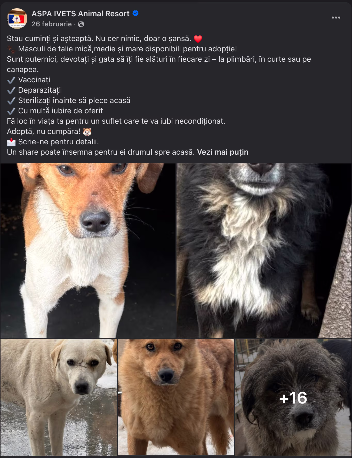 ASPA Ivets - cum promova cainii capturati pe pagina de Facebook