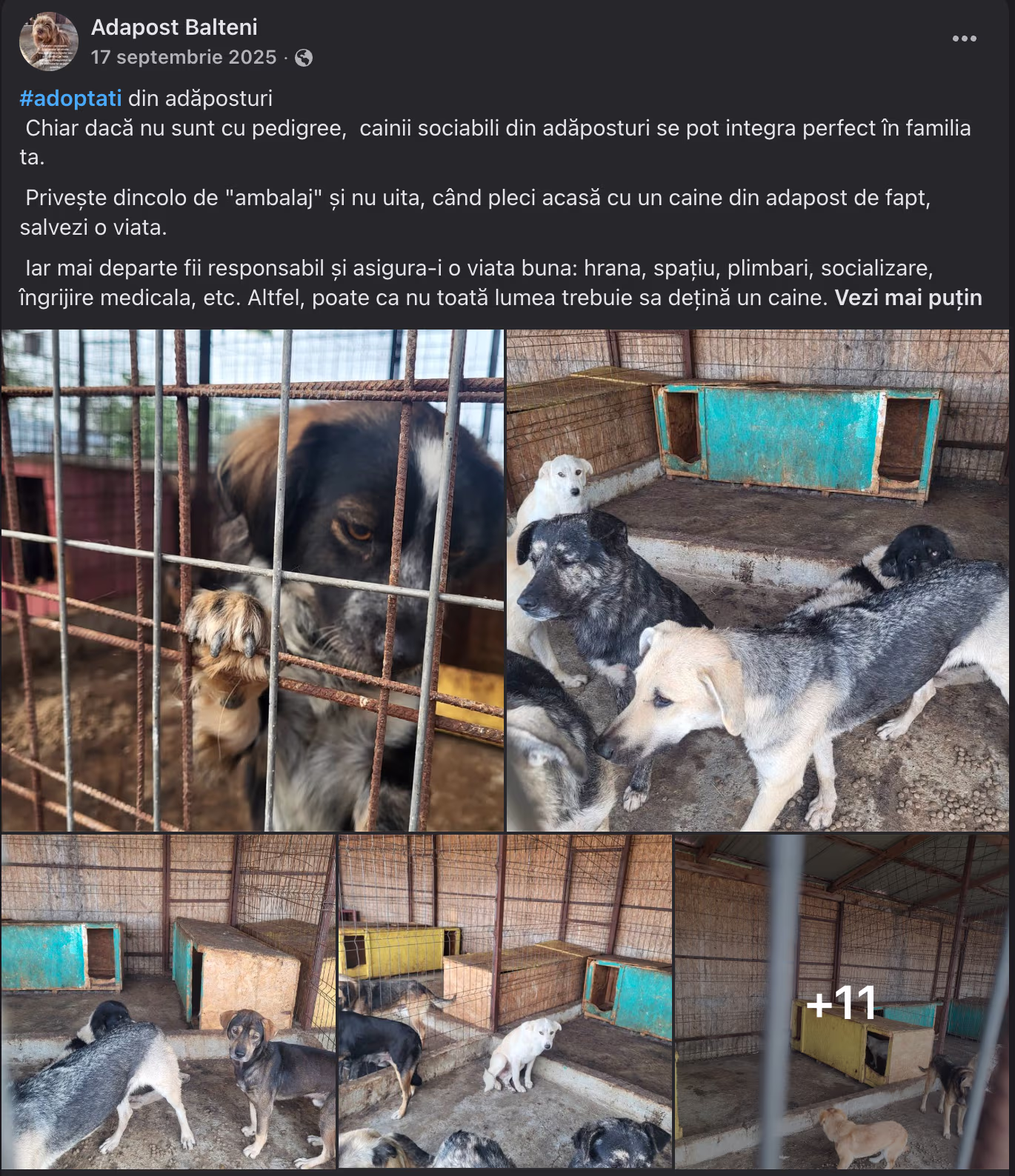 Exemplu de promovare realizată de Asociația Sprijină Câinii