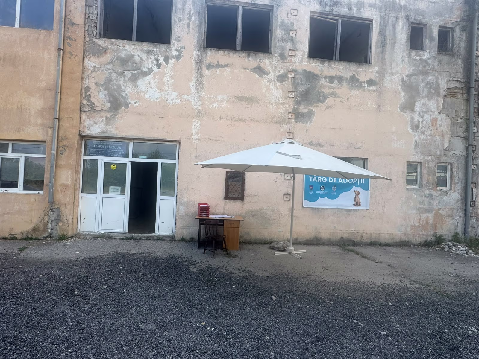 Târg de adopții organizat în fața adăpostului din Târgu Jiu
