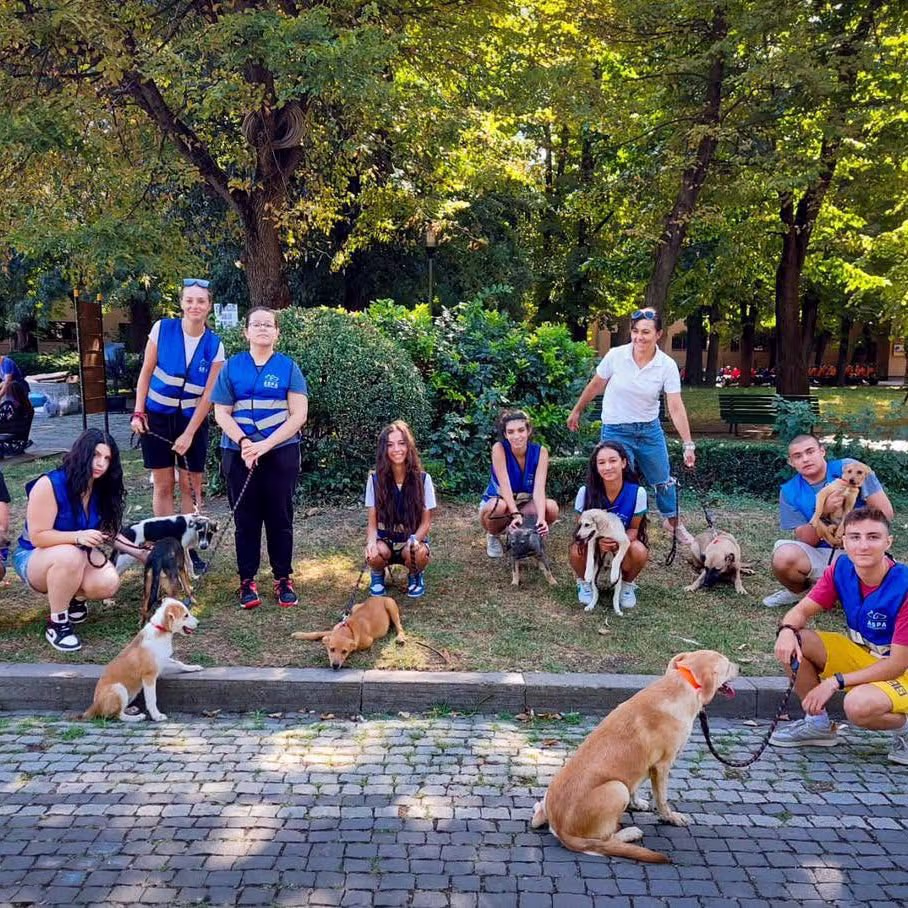Târg de adopție organizat de ASPA București