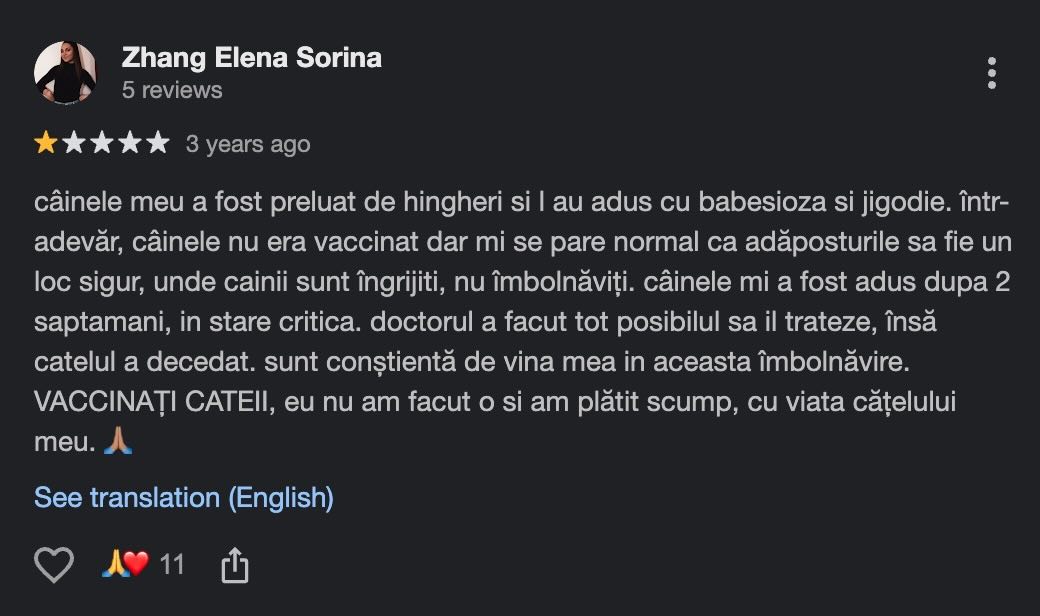 Recenzie adăugată în 2023 care reclamă că un câine capturat de ASPA Ivets și recuperat cu jigodie și babesioză