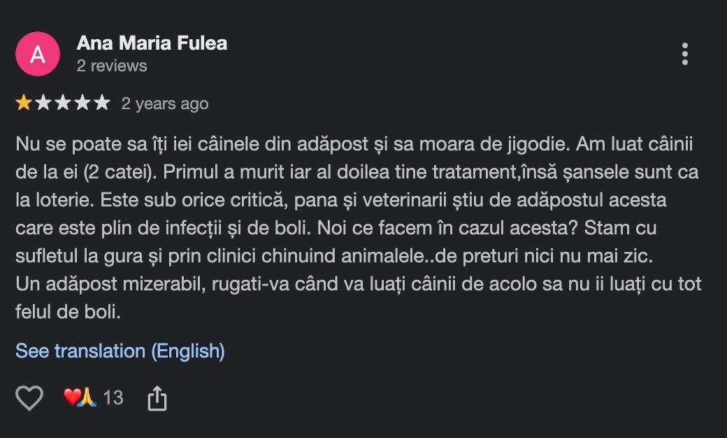 Recenzie publicată în 2024 care reclamă doi câini capturați de ASPA Ivets și recuperați cu jigodie
