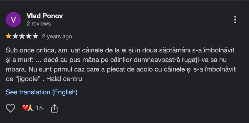Recenzie publicată în 2024 care reclamă un câine scos din adăpostul ASPA Ivets care a murit ulterior de jigodie