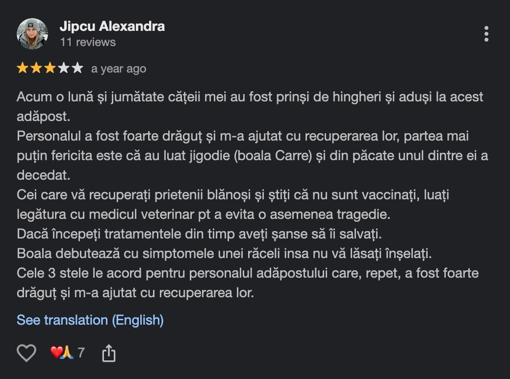 Recenzie din 2025: persoana relatează că unul dintre câinii recuperați de la ASPA Ivets a murit de jigodie